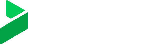 bizagi