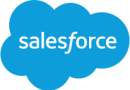 salesforce-with-type-logo