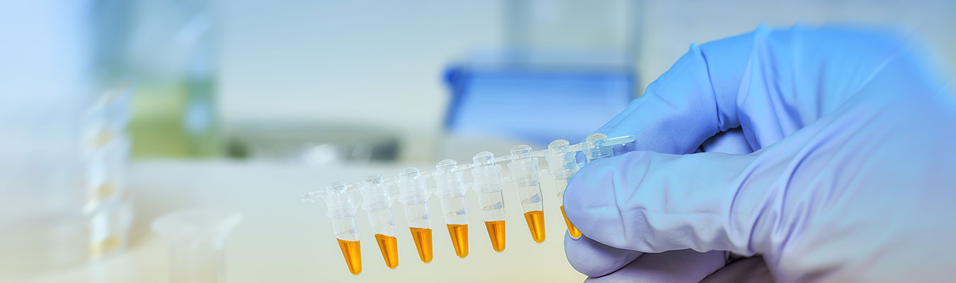 The Changing Landscape Of The Indian Pharma Industry