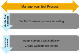 manage your test process