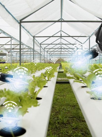 Operational Intelligence