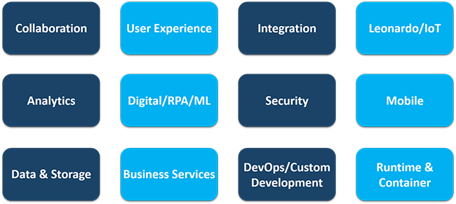 SAP Services