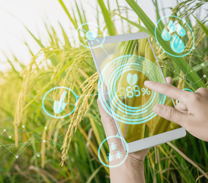 Planting the Seeds of Insight: YASH Builds a Scalable Data Platform for AgTech Success
