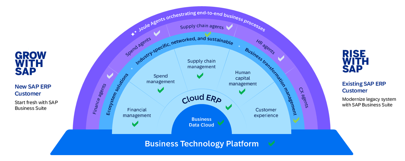 Business Technology Platform